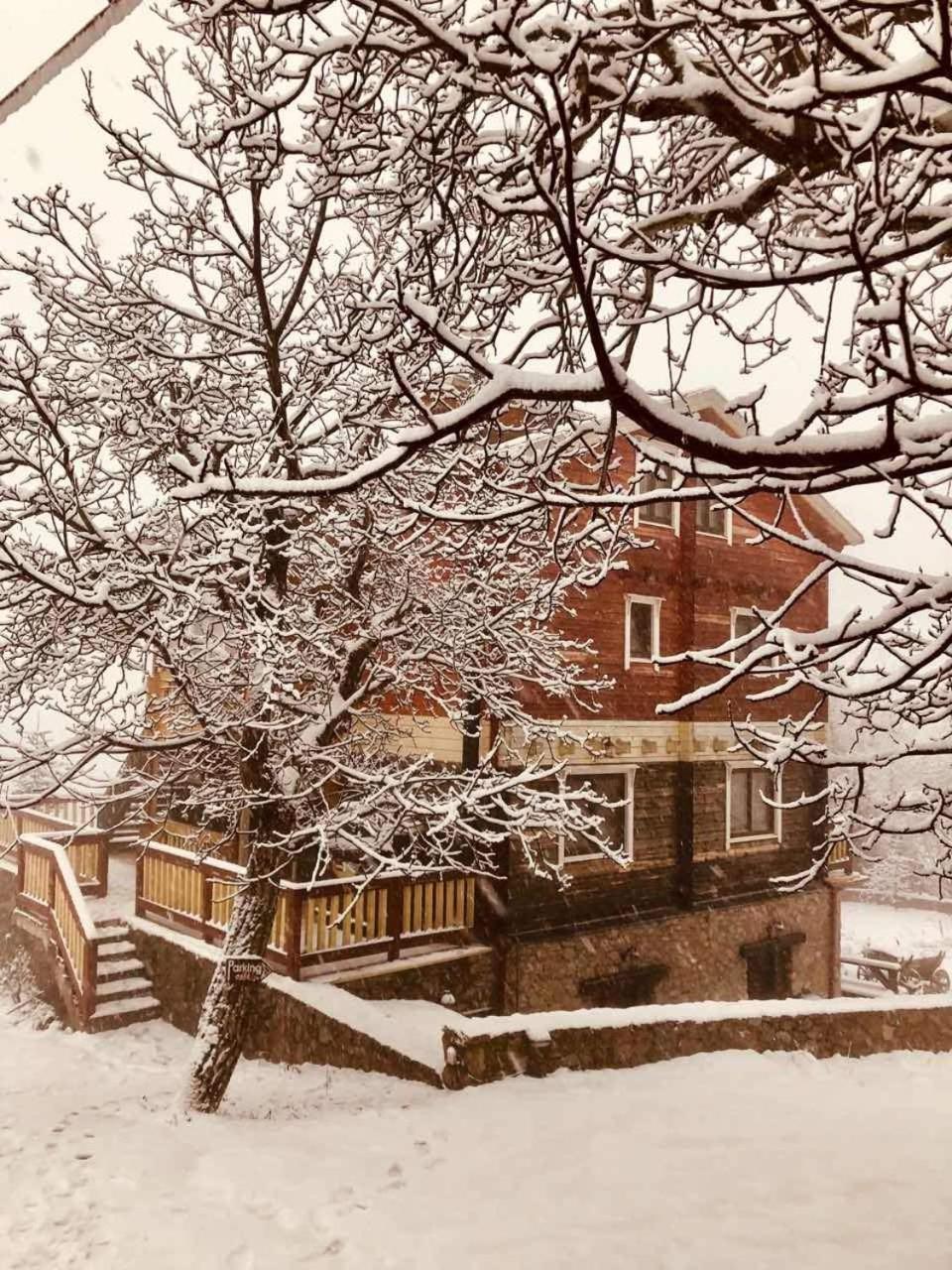 Colours' Chalet Ξενοδοχείο Μέση Συνοικία Τρικάλων Εξωτερικό φωτογραφία